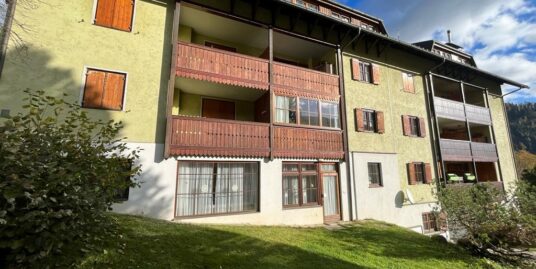 Wiedweg, bei Bad Kleinkirchheim, grosses Apartment (ALBERT) 120m2, 3 Schlafzimmer, 2 Baeder, nahe Golfplatz