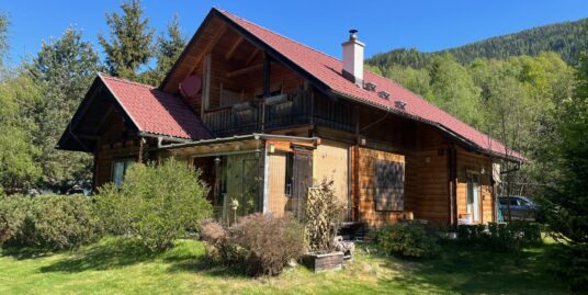 Gnesau, Schoenes Holzhaus in sonniger Gruenruhelage